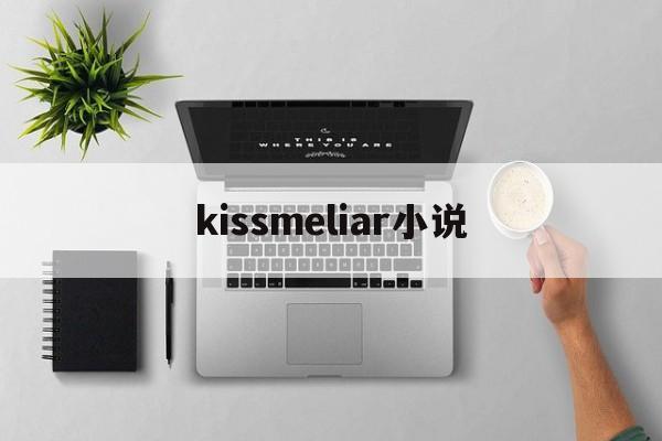 kissmeliar小说(kiss me liar免费阅读)